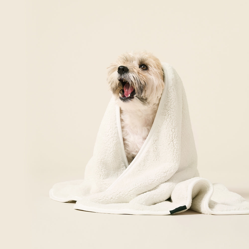 duit all day towel (M)